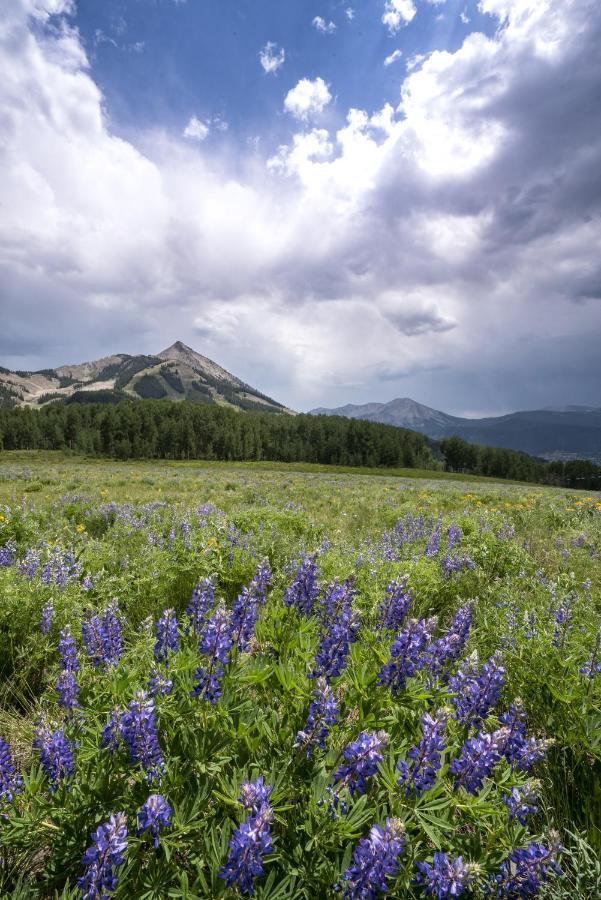 Grand Lodge Condo In The Heart Of Mt Crested Butte Condo Esterno foto